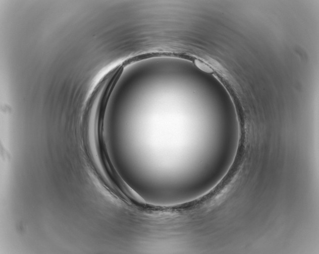 X0000091100838200708131104