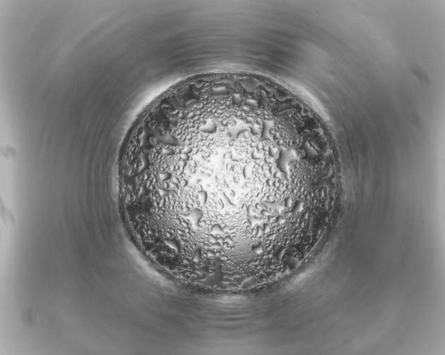 X0000091100839200708131104