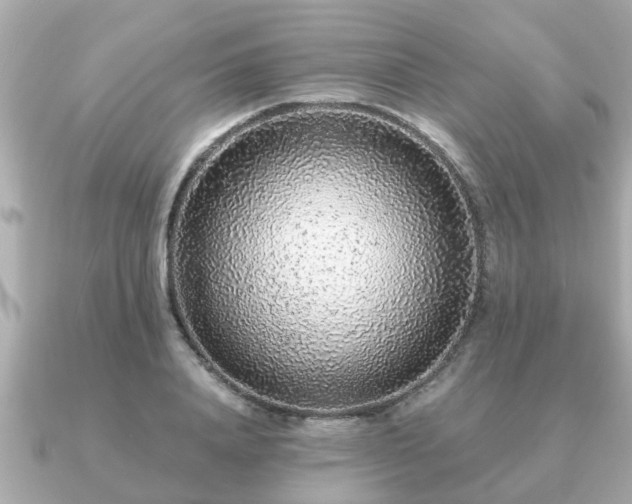 X0000091100840200708131105