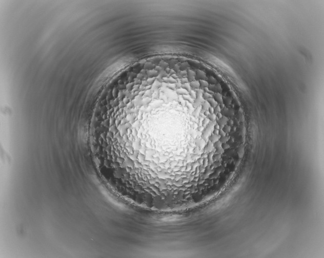 X0000091100841200708131105