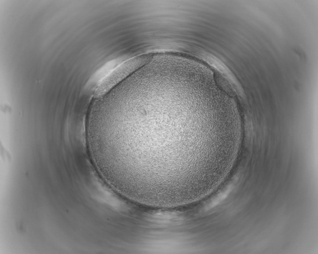 X0000091100842200708131105