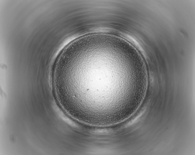 X0000091100843200708131105