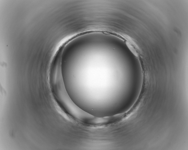 X0000091100846200708131105