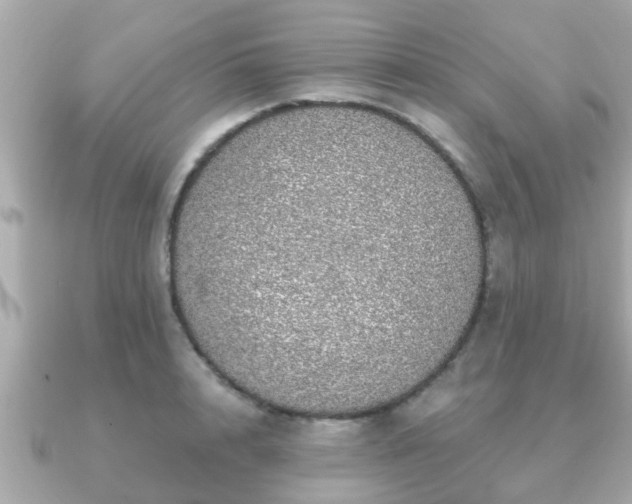 X0000091100848200708131105