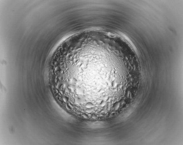 X0000091100851200708131105