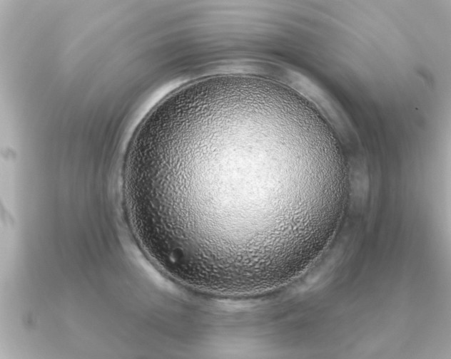 X0000091100852200708131105