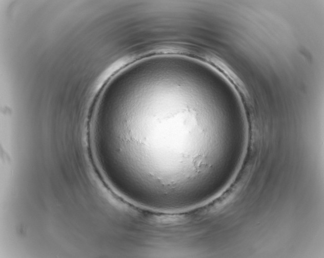 X0000091100853200708131105