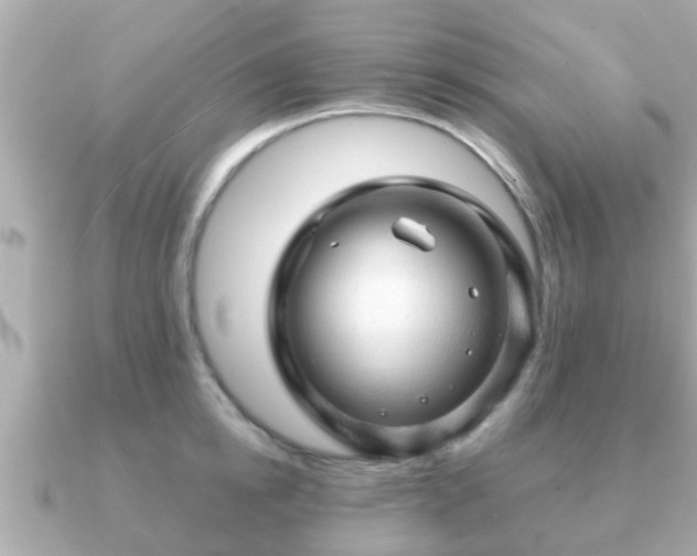 X0000091100854200708131105