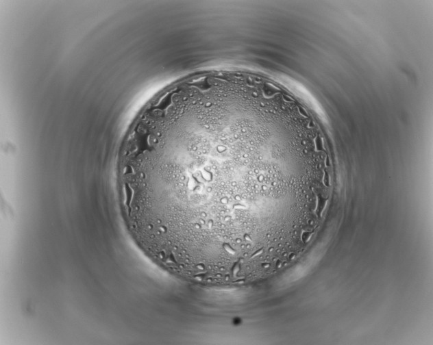 X0000091100855200708131105