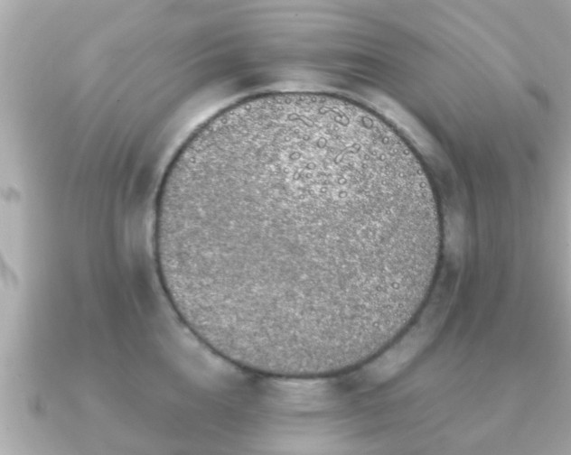 X0000091100856200708131105