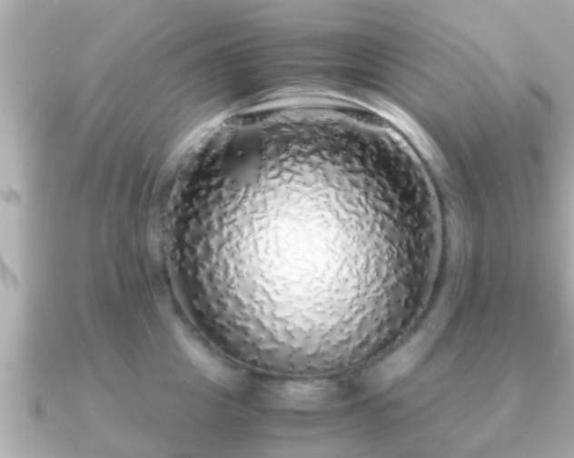 X0000091100857200708131105