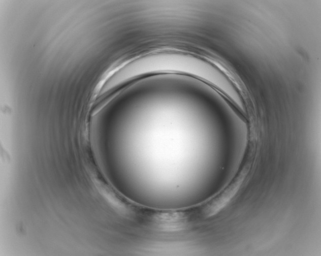 X0000091100858200708131105