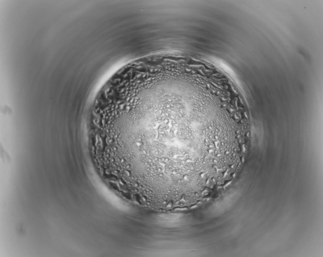 X0000091100859200708131105