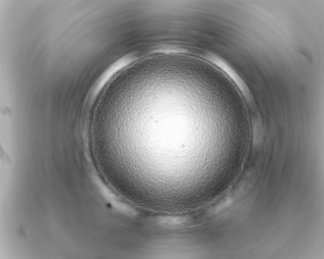 X0000091100861200708131105