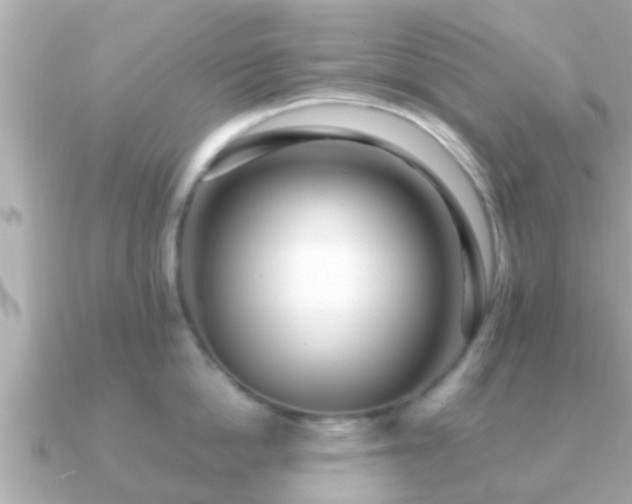 X0000091100862200708131105