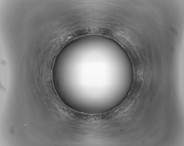 X0000091100865200708131104