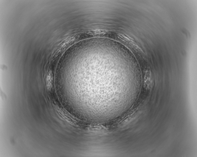 X0000091100866200708131104