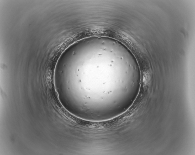 X0000091100867200708131104