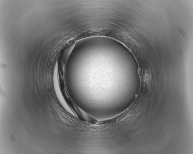 X0000091100868200708131104