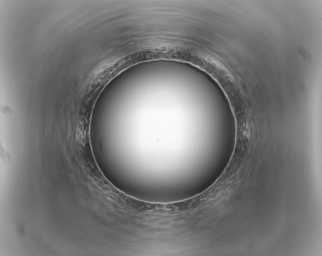 X0000091100869200708131104