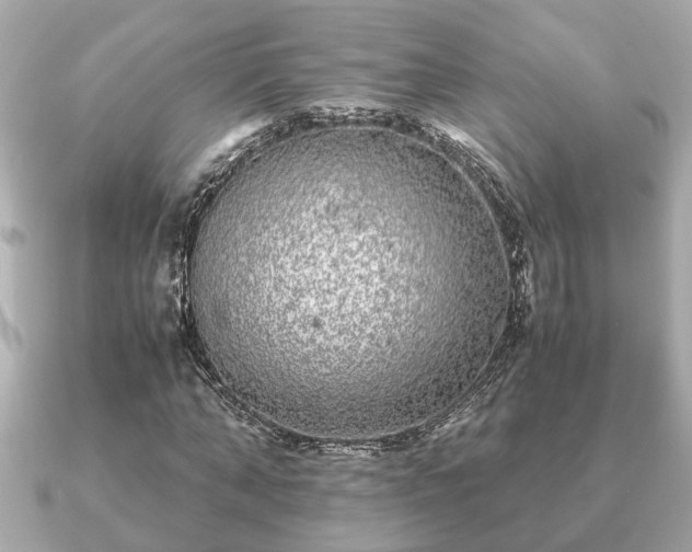 X0000091100870200708131104