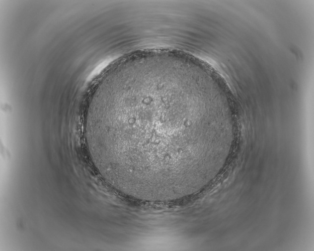 X0000091100871200708131104