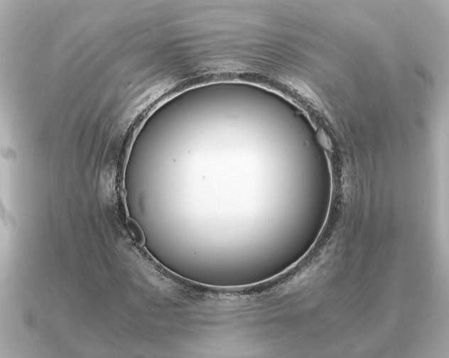 X0000091100873200708131104