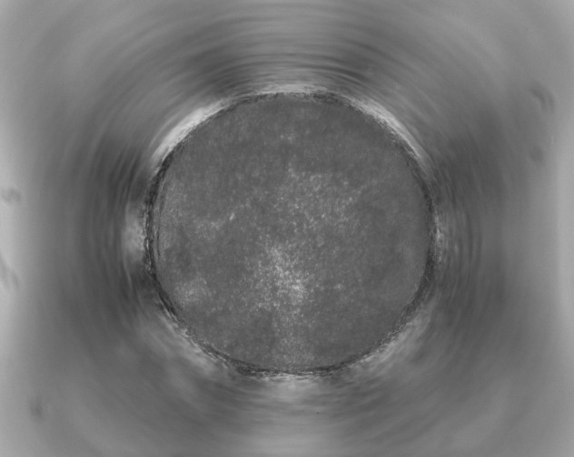 X0000091100874200708131104