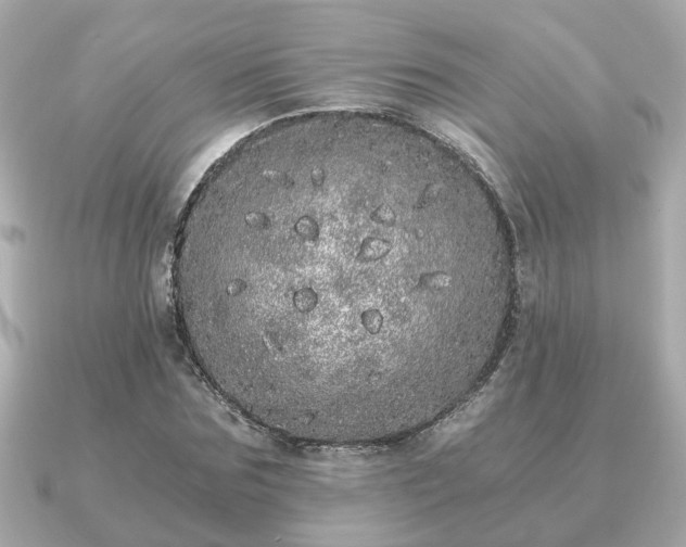 X0000091100875200708131104