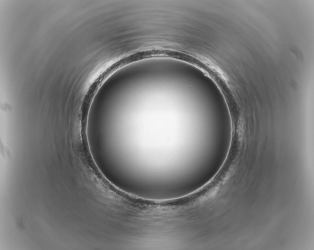 X0000091100877200708131104