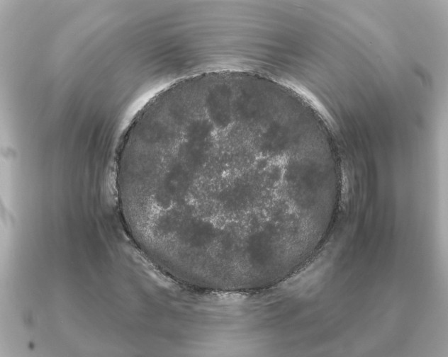 X0000091100878200708131104