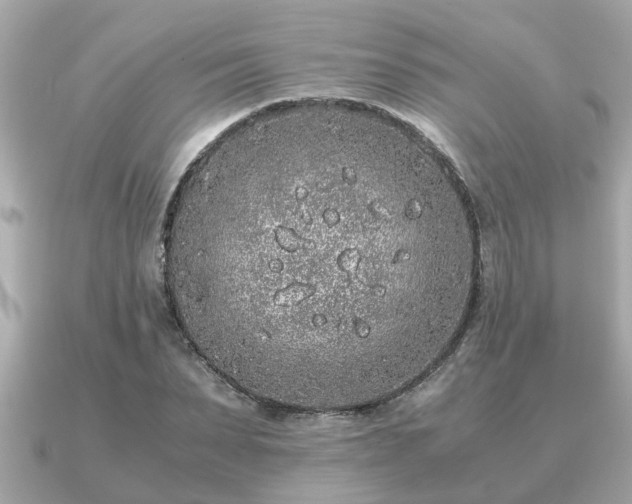 X0000091100879200708131104