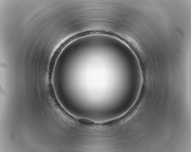 X0000091100880200708131104