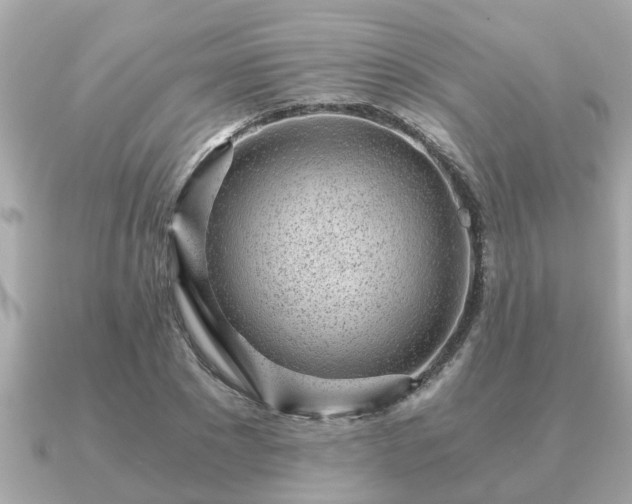 X0000091100881200708131104