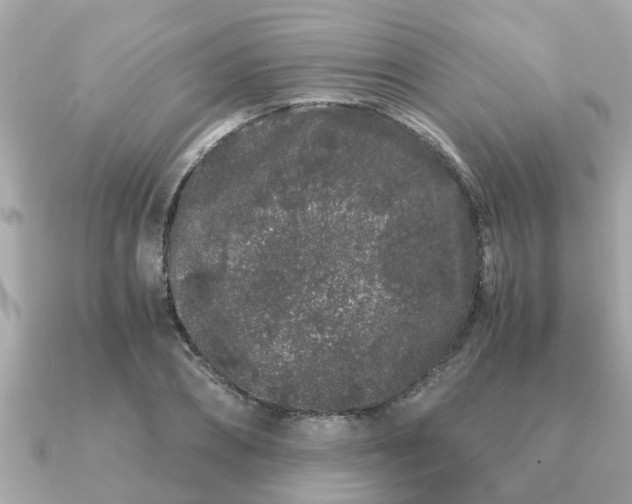 X0000091100882200708131104