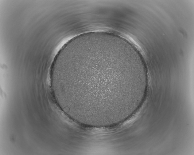 X0000091100883200708131104