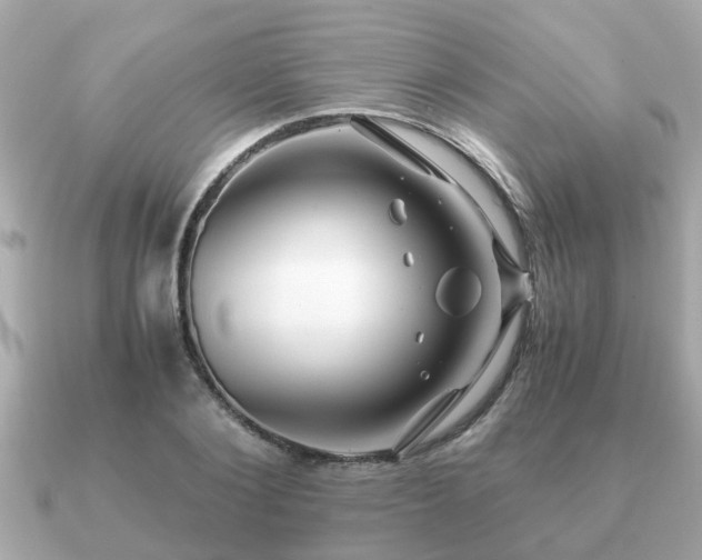 X0000091100884200708131104