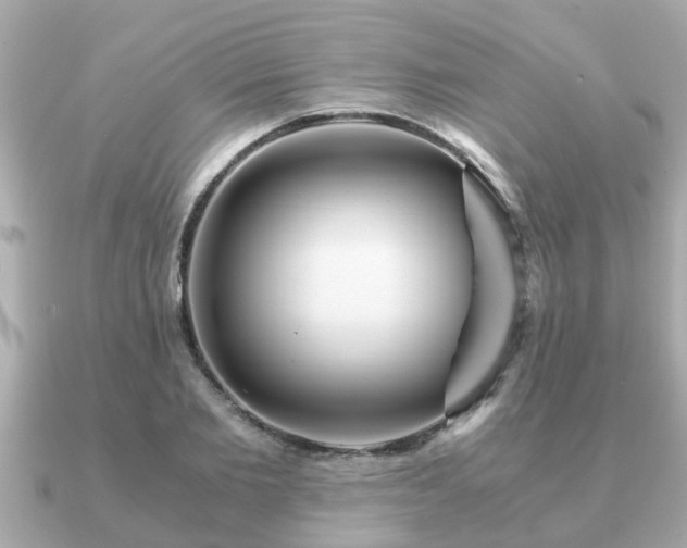 X0000091100885200708131104