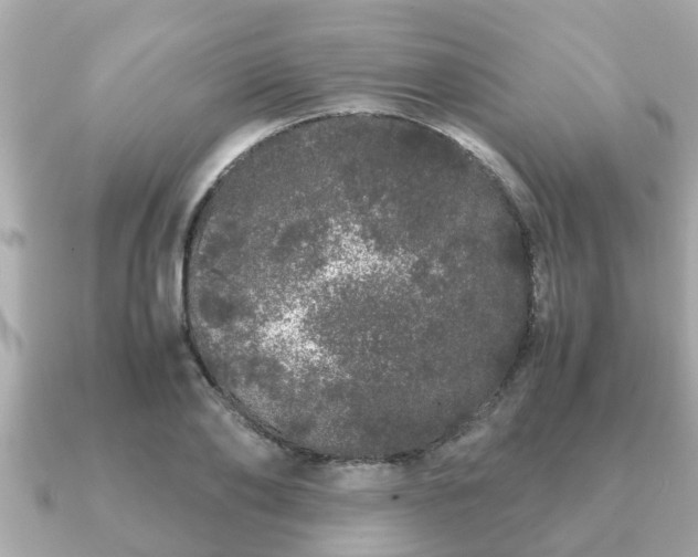 X0000091100886200708131104