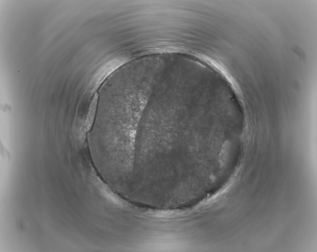 X0000091100889200708131104