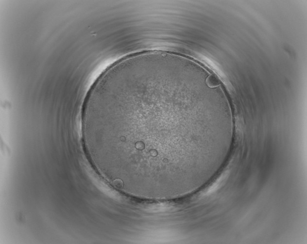 X0000091100891200708131104