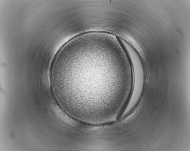 X0000091100892200708131104