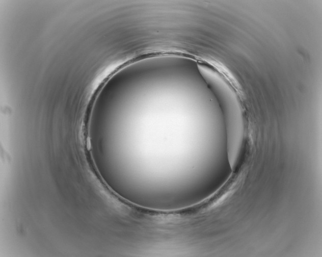 X0000091100893200708131104