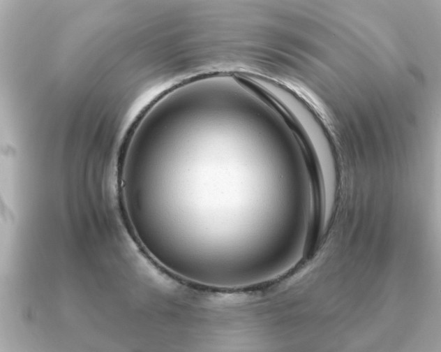 X0000091100894200708131104