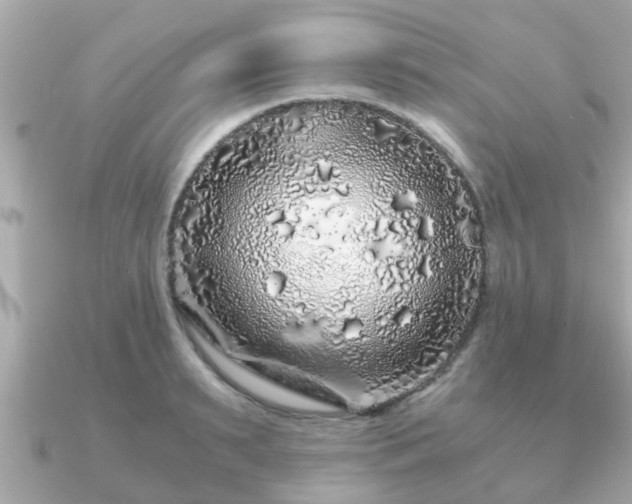 X0000091100895200708131104