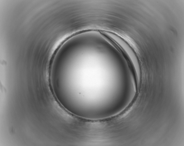 X0000091100896200708131104