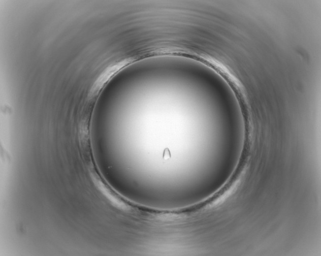 X0000091100897200708131104