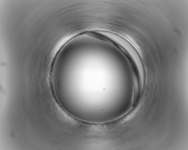 X0000091100901200708131104