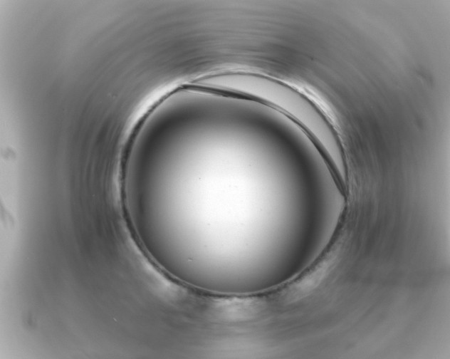 X0000091100902200708131104