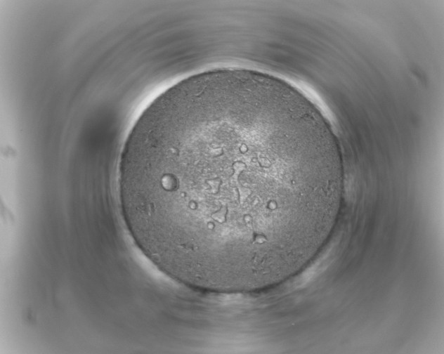 X0000091100903200708131104